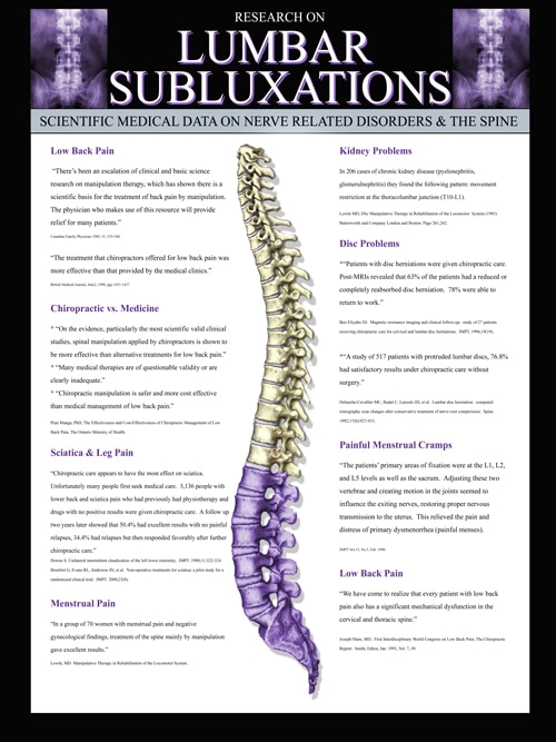 Chiropractic Littleton CO Understanding Chiropractic