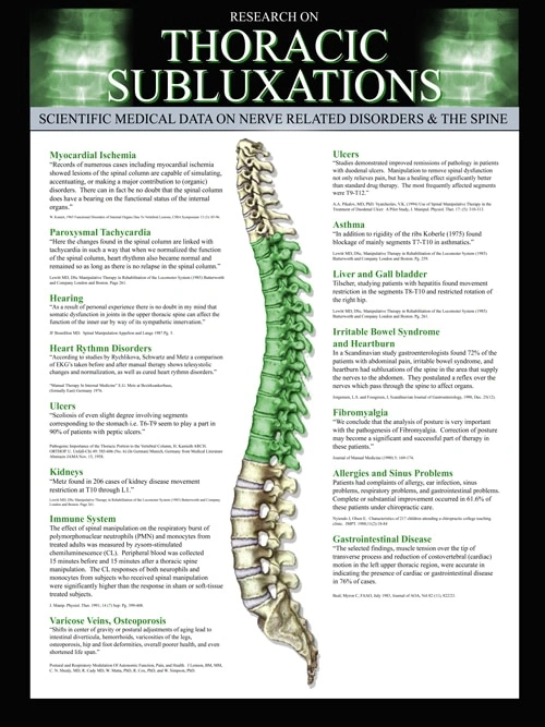 Chiropractic Littleton CO Understanding Chiropractic Middle Spine